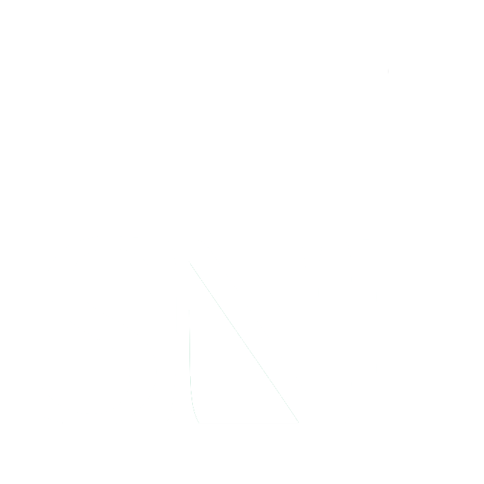 Logo SNP